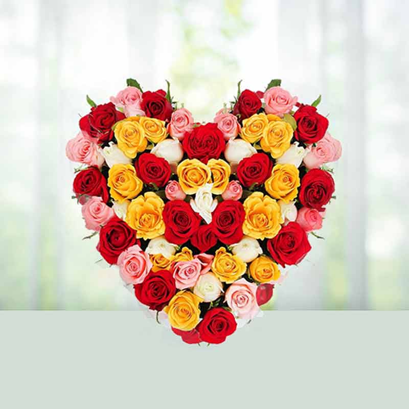 Multi-Color Heart Flower Seeds for Planting - Heirloom, Non-GMO, Shade Tolerant, High Germination