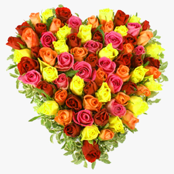 Multi-Color Heart Flower Seeds for Planting - Heirloom, Non-GMO, Shade Tolerant, High Germination
