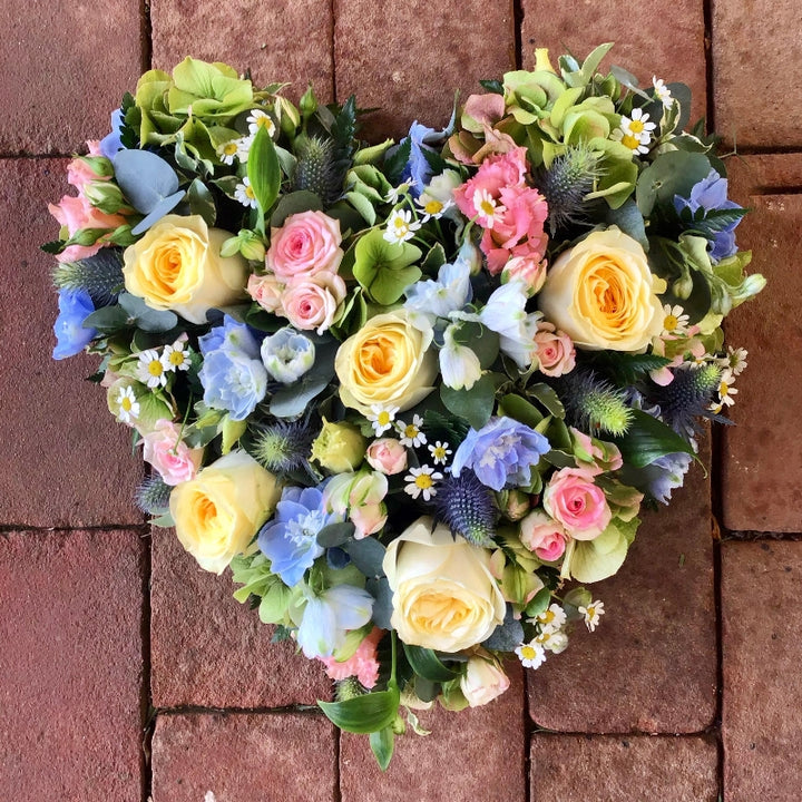 Multi-Color Heart Flower Seeds for Planting - Heirloom, Non-GMO, Shade Tolerant, High Germination