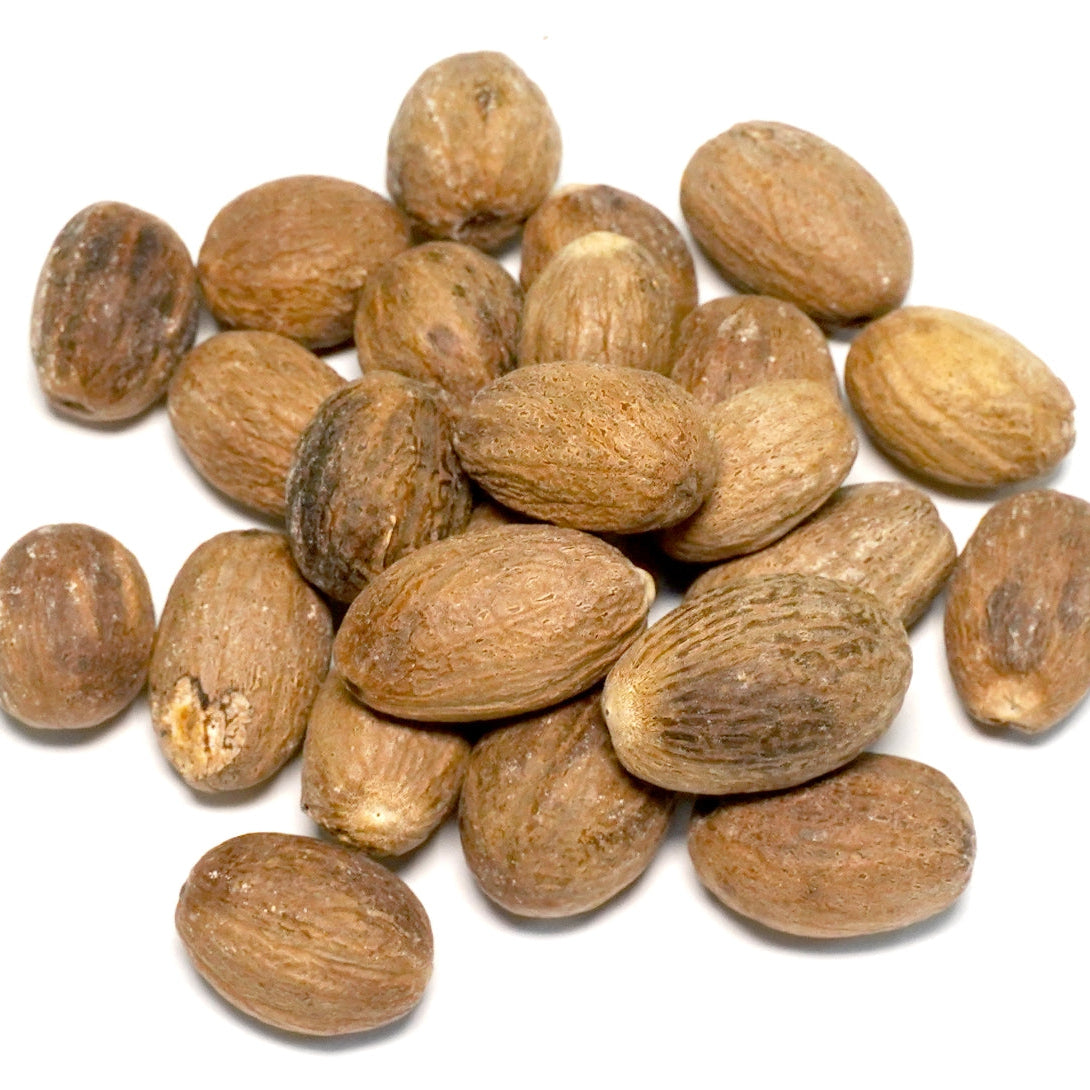 Nutmeg Myristica fruit seeds for planting – Heirloom & Non-GMO garden seeds, aromatic spicy seasonal variety