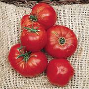 Tomato Omar’s Giant vegetable seeds for planting - Heirloom & Non-GMO Garden seeds