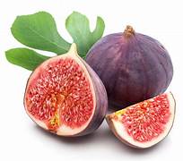 Purple Figs fruit seeds for planting - Heirloom & Non-GMO Garden seeds