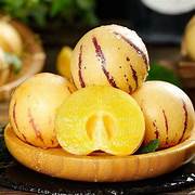 White-Purple Pepino Dulce Melon fruit seeds for planting - Heirloom & Non-GMO garden seeds for home growing