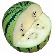 Japanese White Watermelon fruit seeds for planting - Heirloom & Non-GMO Garden seeds for juicy melons