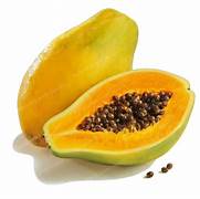 Calimosa Papaya fruit seeds for planting – Heirloom & Non-GMO garden seeds for tropical nutritious harvests