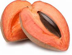 Mamey Fruit Seeds for Planting – Heirloom & Non-GMO Tropical Fruit Garden Seeds