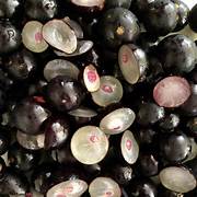 Jaboticaba fruit seeds for planting - Heirloom & Non-GMO rare Brazilian grape garden seeds