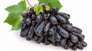 Moon Drops Grapes fruit seeds for planting - Heirloom & Non-GMO Garden seeds