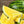 Yellow Watermelon Fruit Seeds for Planting – Heirloom Non-GMO Vibrant Sweet Organic Garden Seeds with High Germination