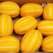 Yellow Korean Melon fruit seeds for planting – Heirloom & Non-GMO garden seeds for sweet summer harvests