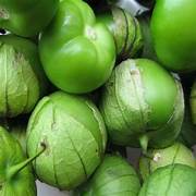 Tomatillo fruit seeds for planting - Heirloom & Non-GMO Garden seeds for authentic Mexican flavors