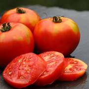 Early Tomato vegetable seeds for planting - Heirloom & Non-GMO Garden seeds