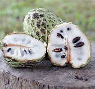 Sweet Sop Sugar Apple fruit seeds for planting - Heirloom & Non-GMO Garden seeds