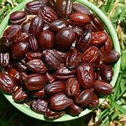 Jojoba Simmondsia fruit seeds for planting - Heirloom & Non-GMO Garden seeds, hardy plants with nutritious value