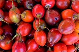 Cyphomandra Betacea fruit seeds for planting - Heirloom & Non-GMO Garden seeds, exotic tree tomatoes for gardens