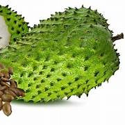Fresh Green Soursop Fruit Seeds for Planting - Heirloom & Non-GMO Garden Seeds