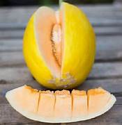 Crenshaw Melon fruit seeds for planting - Heirloom & Non-GMO Garden seeds, juicy flavorful melons for easy growing