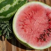Dakota Rose Watermelon fruit seeds for planting - Heirloom & Non-GMO sweet summer garden seeds
