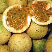Green Passiflora Maliformis fruit seeds for planting - Heirloom & Non-GMO Garden seeds