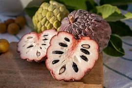 Purple Cherimoya fruit seeds for planting – Heirloom & Non-GMO garden seeds, tropical sugar-apple variety to grow