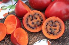 Cyphomandra Betacea fruit seeds for planting - Heirloom & Non-GMO Garden seeds, exotic tree tomatoes for gardens