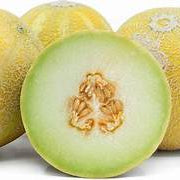 Lemon Drop Melon fruit seeds for planting - Heirloom & Non-GMO garden seeds, sweet summer variety