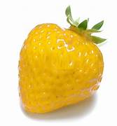 Yellow Strawberry fruit seeds for planting - Heirloom & Non-GMO garden seeds for sweet rare berries