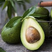 Zutano Avocado fruit seeds for planting - Heirloom & Non-GMO garden seeds, ideal for mild climates
