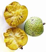 Mountain Soursop fruit seeds for planting - Heirloom & Non-GMO Garden seeds