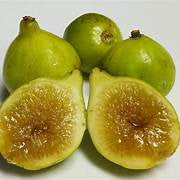 Kodota Fig fruit seeds for planting - Heirloom & Non-GMO Garden seeds