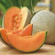 Fresh Yellow Cantaloupe Melon Fruit Seeds for Planting - Heirloom & Non-GMO Garden Seeds