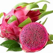 Light Red Pitaya fruit seeds for planting - Heirloom & Non-GMO garden seeds, superfood variety for home gardens