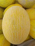 Chinese Hami Melon fruit seeds for planting - Heirloom & Non-GMO garden seeds for sweet nutritious harvests