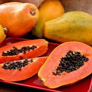 Dwarf Waimanalo Papaya fruit seeds for planting - Heirloom & Non-GMO garden seeds, compact early-harvest trees
