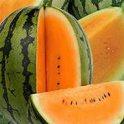 Orangeglo Watermelon fruit seeds for planting - Heirloom & Non-GMO Garden seeds, sweet juicy summer melon variety