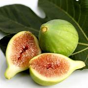 Kodota Fig fruit seeds for planting - Heirloom & Non-GMO Garden seeds