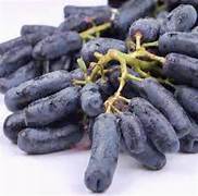 Purple Finger Grape fruit seeds for planting - Heirloom & Non-GMO garden seeds, sweet compact fruiting vines