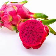 Light Red Pitaya fruit seeds for planting - Heirloom & Non-GMO garden seeds, superfood variety for home gardens