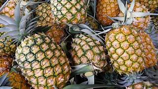 Black Pineapple fruit seeds for planting - Heirloom & Non-GMO Garden seeds