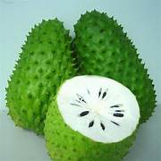Guanabana fruit seeds for planting – Heirloom & Non-GMO garden seeds, sweet and creamy tropical fruit variety