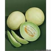 White Cantaloupe fruit seeds for planting - Heirloom & Non-GMO Garden seeds