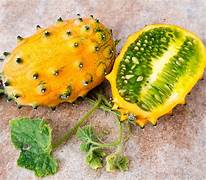 Metuliferus melon seeds for planting - Heirloom & Non-GMO Garden seeds, grow spiky exotic fruits at home