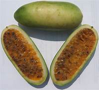 Curuba fruit seeds for planting - Heirloom & Non-GMO Garden seeds, rare tangy fruit for exotic gardens