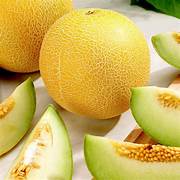 Yellow Galia Melon vegetable seeds for planting - Heirloom & Non-GMO Garden seeds