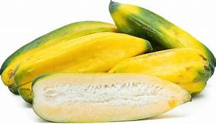 Babaco Papaya fruit seeds for planting - Heirloom & Non-GMO Garden seeds