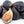 Black Mission Fig fruit seeds for planting – Heirloom & Non-GMO garden seeds, classic sweet fig variety