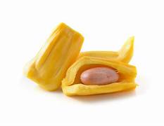 Yellow Jackfruit fruit seeds for planting - Heirloom & Non-GMO Garden seeds