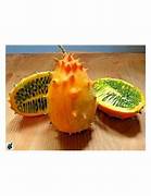 Metuliferus melon seeds for planting - Heirloom & Non-GMO Garden seeds, grow spiky exotic fruits at home
