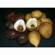 Salak fruit seeds for planting - Heirloom & Non-GMO Garden seeds for exotic tropical snakeskin fruits