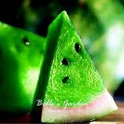 Green Watermelon fruit seeds for planting - Heirloom & Non-GMO Garden seeds